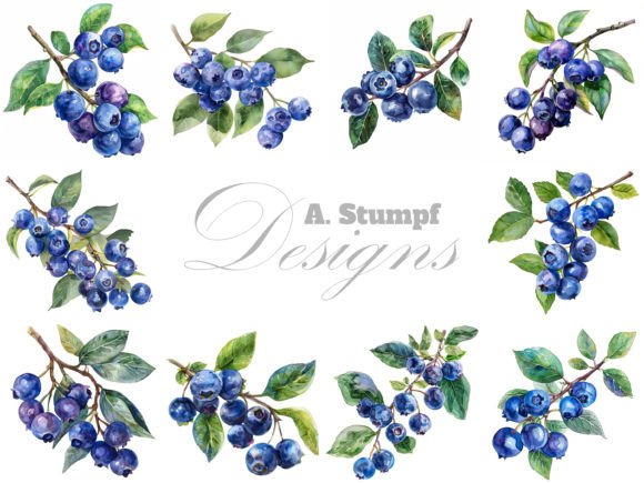 Download Blueberry Watercolor Fruits Clipart Set - Fruit Collection