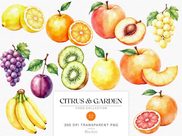 Download Watercolor Fruits - Citrus and Garden - Fruit Collection