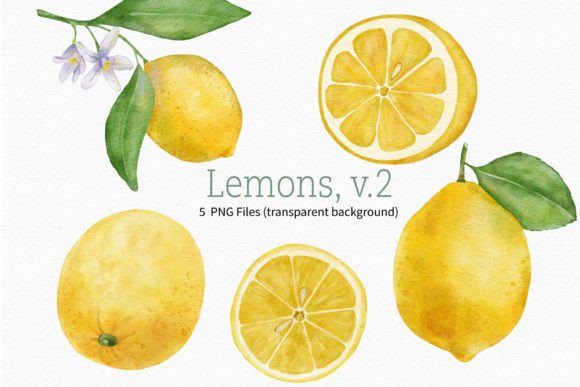 Download Lemon Watercolor Fruit Clipart Branch - Fruit Collection